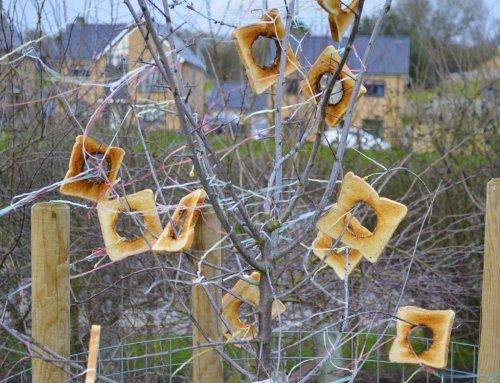 The inaugural wassail at Vale Community Hospital, Dursley