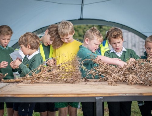 Seed Saving Workshop for Oakridge Parochial School in Stroud