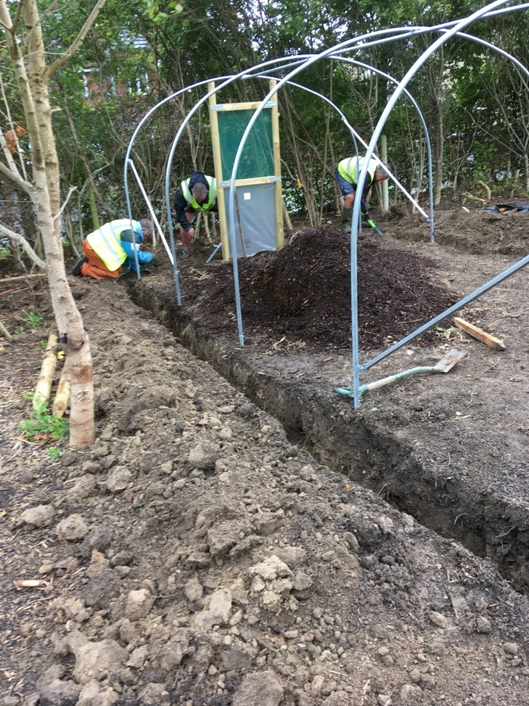 Polytunnel building at the Vale Hospital